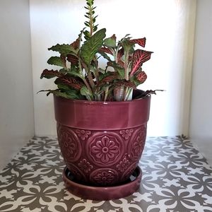 Ceramic planter